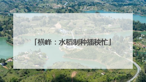 横峰：水稻制种插秧忙