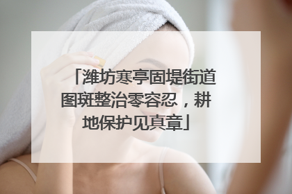 潍坊寒亭固堤街道图斑整治零容忍，耕地保护见真章