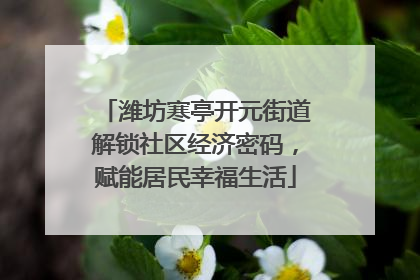 潍坊寒亭开元街道解锁社区经济密码，赋能居民幸福生活