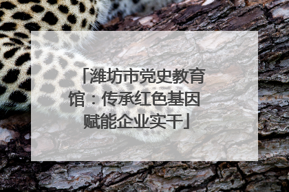 潍坊市党史教育馆：传承红色基因 赋能企业实干