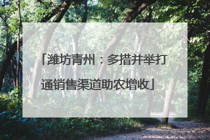 潍坊青州：多措并举打通销售渠道助农增收