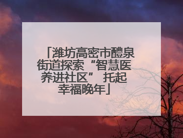 潍坊高密市醴泉街道探索“智慧医养进社区” 托起幸福晚年