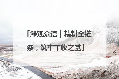 潍观众语｜精耕全链条，筑牢丰收之基