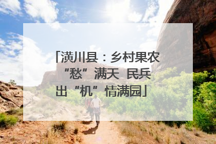 潢川县：乡村果农“愁”满天  民兵出“机”情满园
