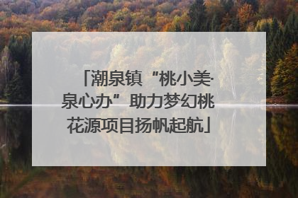 潮泉镇“桃小美·泉心办”助力梦幻桃花源项目扬帆起航