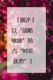 潮评丨以“战略敏捷”抢占“时差优势”