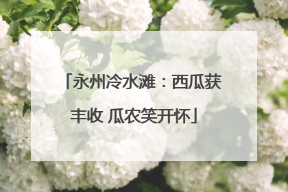 永州冷水滩：西瓜获丰收 瓜农笑开怀
