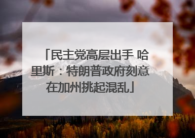 民主党高层出手 哈里斯：特朗普政府刻意在加州挑起混乱
