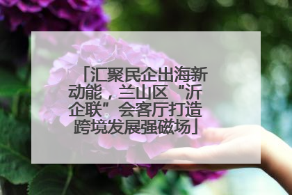 汇聚民企出海新动能，兰山区“沂企联”会客厅打造跨境发展强磁场