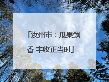 汝州市：瓜果飘香 丰收正当时