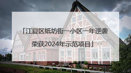 江夏区纸坊街一小区一年逆袭 荣获2024年示范项目
