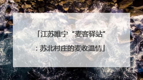 江苏睢宁“麦客驿站”：苏北村庄的麦收温情