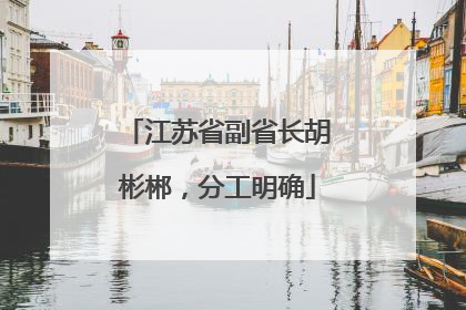 江苏省副省长胡彬郴，分工明确