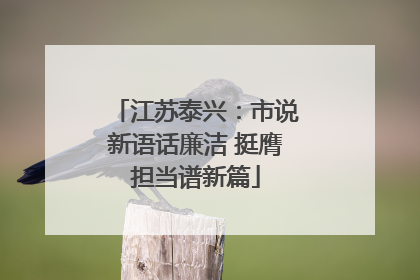 江苏泰兴：市说新语话廉洁 挺膺担当谱新篇
