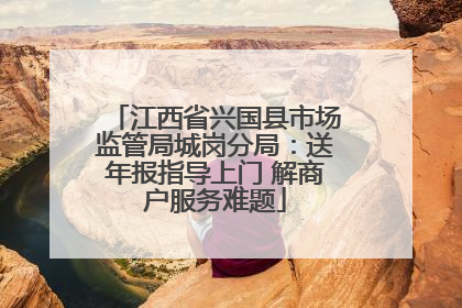 江西省兴国县市场监管局城岗分局：送年报指导上门 解商户服务难题