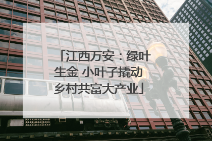 江西万安：绿叶生金 小叶子撬动乡村共富大产业