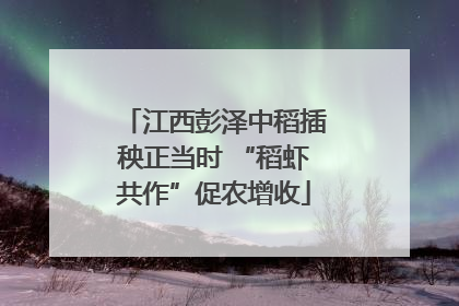 江西彭泽中稻插秧正当时 “稻虾共作”促农增收