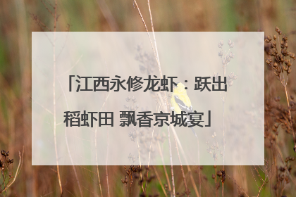 江西永修龙虾:跃出稻虾田 飘香京城宴