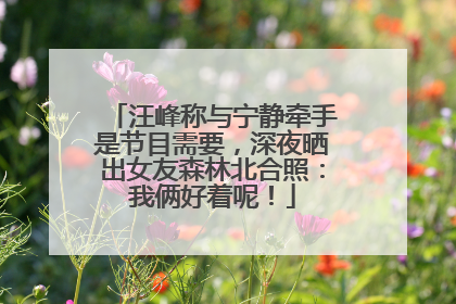 汪峰称与宁静牵手是节目需要，深夜晒出女友森林北合照：我俩好着呢！
