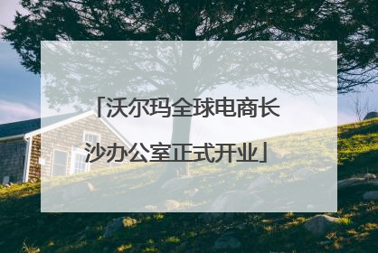 沃尔玛全球电商长沙办公室正式开业