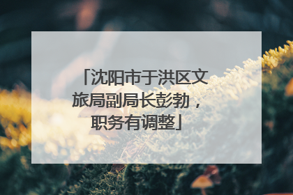 沈阳市于洪区文旅局副局长彭勃，职务有调整