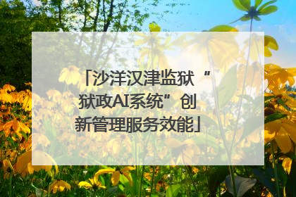 沙洋汉津监狱“狱政AI系统”创新管理服务效能