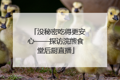 没秘密吃得更安心——探访浣熊食堂后厨直播
