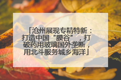沧州展现专精特新：打造中国“膜谷”，打破药用玻璃国外垄断，用北斗服务城乡海洋