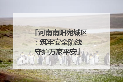 河南南阳宛城区：筑牢安全防线 守护万家平安