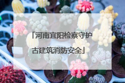 河南宜阳检察守护古建筑消防安全