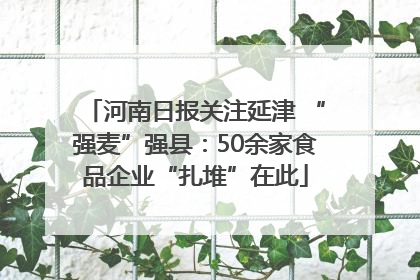 河南日报关注延津 “强麦”强县：50余家食品企业“扎堆”在此