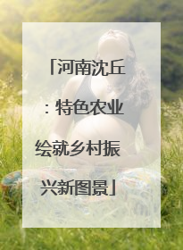 河南沈丘：特色农业绘就乡村振兴新图景
