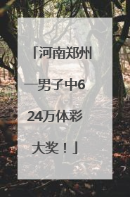 河南郑州一男子中624万体彩大奖！