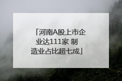 河南A股上市企业达111家 制造业占比超七成