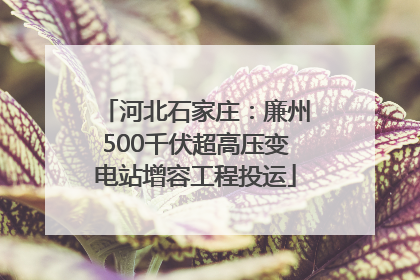 河北石家庄：廉州500千伏超高压变电站增容工程投运