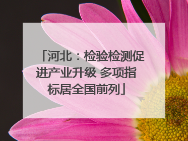 河北：检验检测促进产业升级 多项指标居全国前列