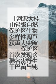河源大桂山省级自然保护区生物多样性调查获重大突破——保护区首次发现珍稀名贵野生干巴菌与钝尾两头蛇