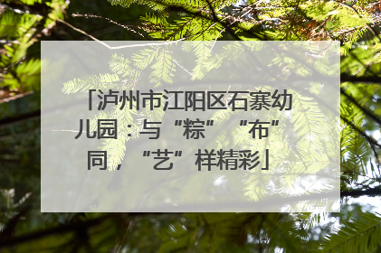 泸州市江阳区石寨幼儿园：与“粽”“布”同，“艺”样精彩