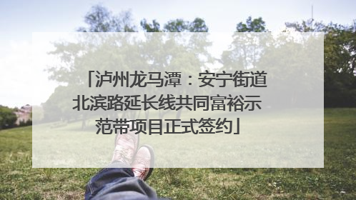 泸州龙马潭：安宁街道北滨路延长线共同富裕示范带项目正式签约