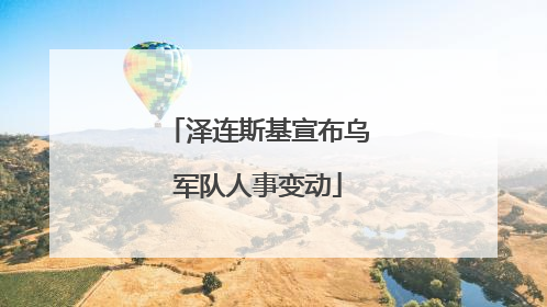 泽连斯基宣布乌军队人事变动