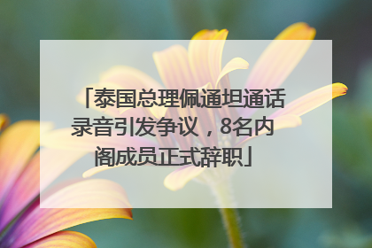 泰国总理佩通坦通话录音引发争议，8名内阁成员正式辞职