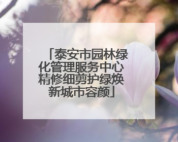 泰安市园林绿化管理服务中心精修细剪护绿焕新城市容颜