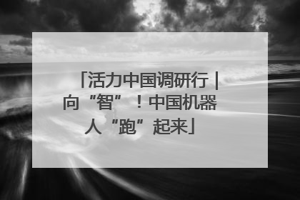活力中国调研行｜向“智”！中国机器人“跑”起来