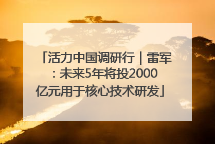 活力中国调研行｜雷军：未来5年将投2000亿元用于核心技术研发