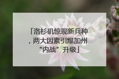 洛杉矶惊现新兵种，两大因素引爆加州“内战”升级