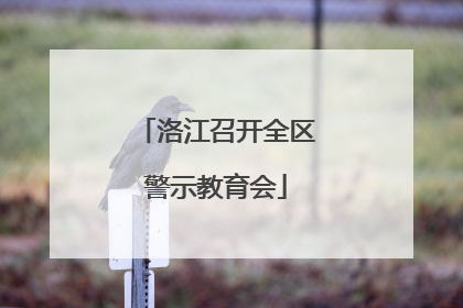 洛江召开全区警示教育会