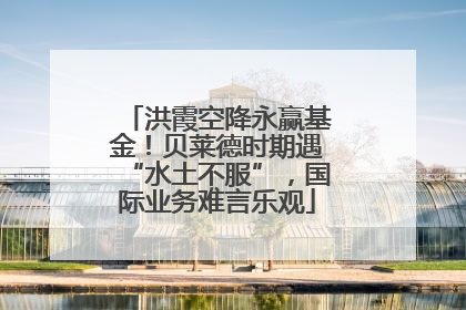 洪霞空降永赢基金！贝莱德时期遇“水土不服”，国际业务难言乐观