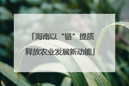 海南以“链”提质 释放农业发展新动能