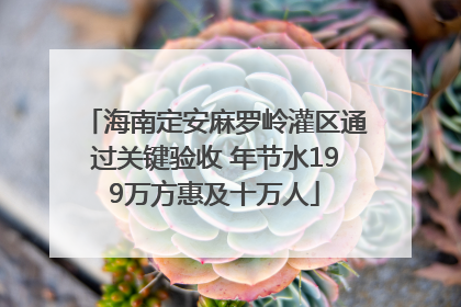 海南定安麻罗岭灌区通过关键验收 年节水199万方惠及十万人