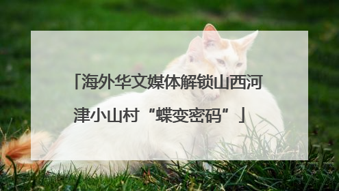 海外华文媒体解锁山西河津小山村“蝶变密码”